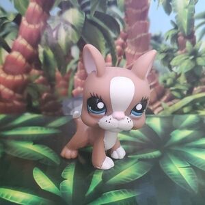 🐾 LPS #1380 Boston Terrier